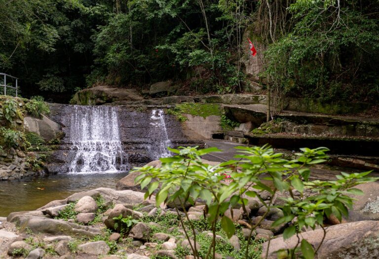 Maricá articula projeto ambiental e turístico para o Espraiado com paisagismo assinado pelo escritório Burle Marx marica-articula-projeto-ambiental-e-turistico-para-o-espraiado-com-paisagismo-assinado-pelo-escritorio-burle-marx