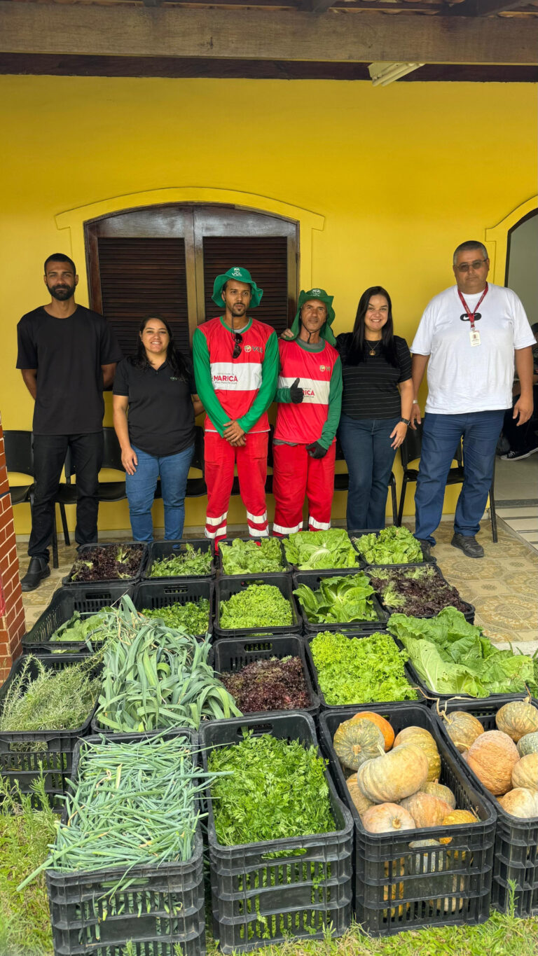 Maricá distribui hortaliças e legumes produzidos em praças agroecológicas do município marica-distribui-hortalicas-e-legumes-produzidos-em-pracas-agroecologicas-do-municipio