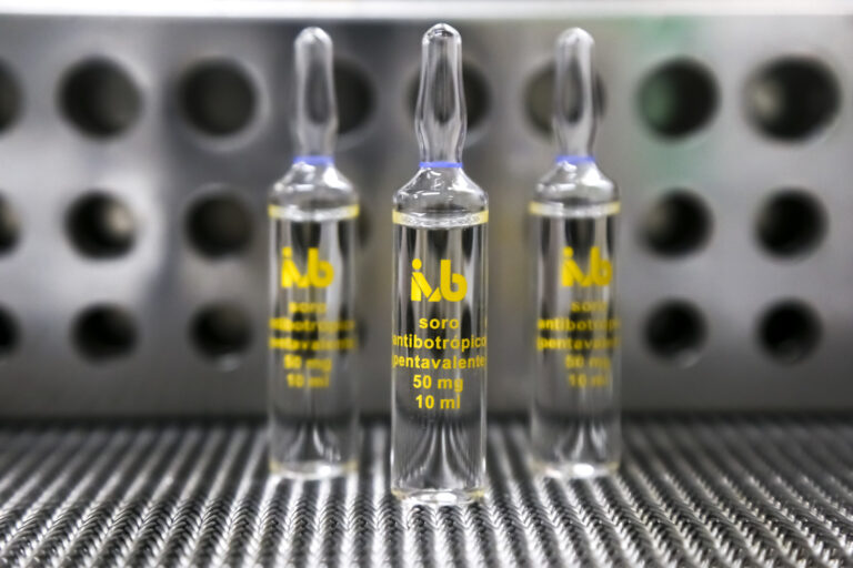 com-a-retomada-da-producao-de-antidotos,-instituto-vital-brazil-produziu-mais-de-25-mil-ampolas-de-soros-hiperimunes-em-2025