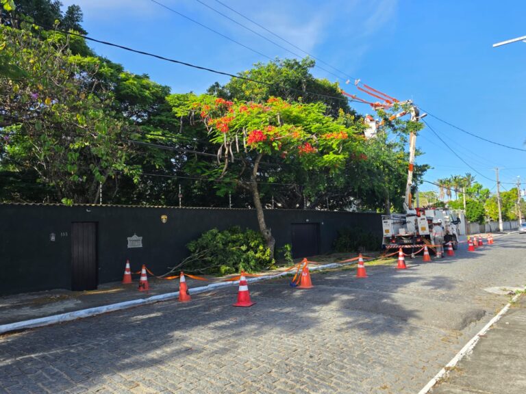 enel-rio-realiza-mutirao-de-podas-em-cabo-frio