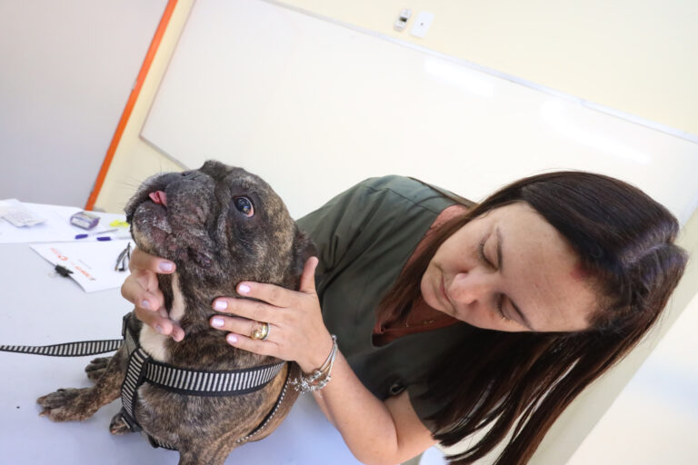 prefeitura-de-niteroi-oferece-servicos-veterinarios-gratuitos-no-fonseca