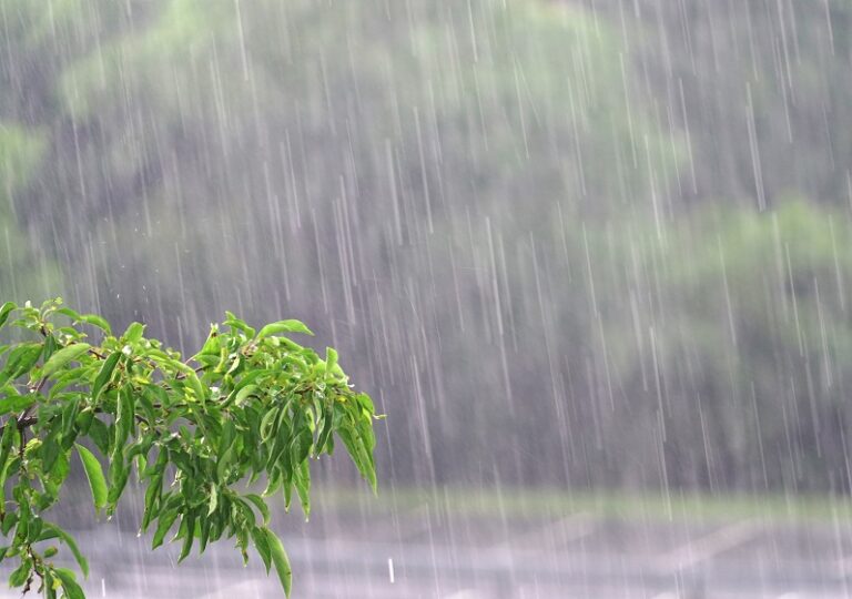 governo-do-rio-atua-em-itaguai-e-reforca-prontidao-contra-efeitos-das-chuvas-em-todo-o-estado