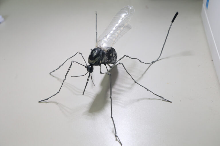 secretaria-de-estado-de-saude-do-rj-convoca-a-populacao-fluminense-para-reforcar-cuidados-contra-a-dengue-durante-o-verao