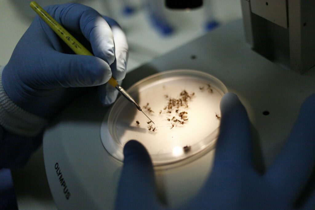 Saúde estadual intensifica ações para prevenir transmissão de arboviroses com a chegada do El Niño