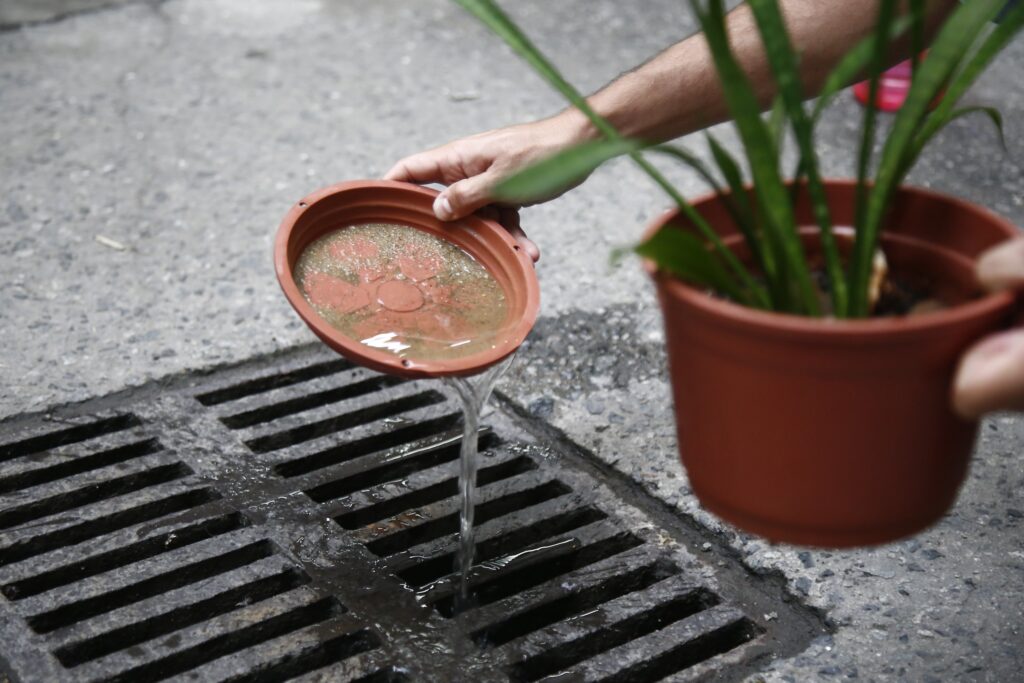Saúde estadual intensifica ações para prevenir transmissão de arboviroses com a chegada do El Niño