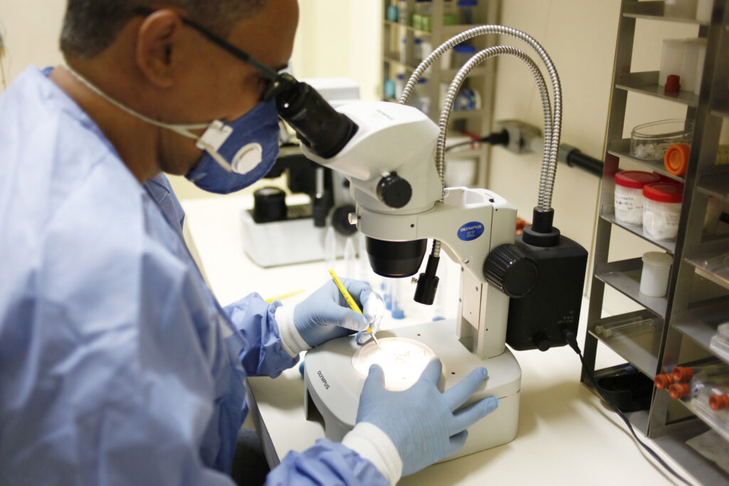 Saúde estadual intensifica ações para prevenir transmissão de arboviroses com a chegada do El Niño